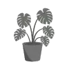 Plantes